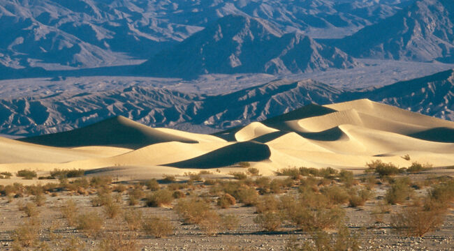 9122d1240c9a27709cb58e146e07d937