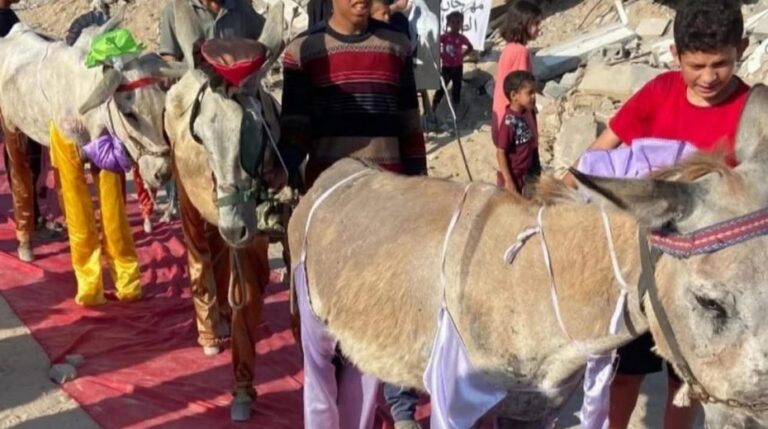 f94b4a1c39072b8678b87085e24a6588