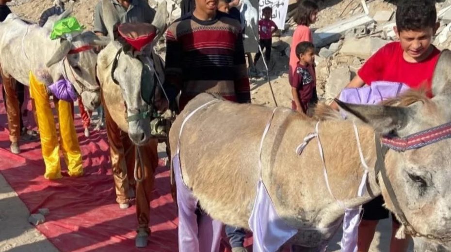 f94b4a1c39072b8678b87085e24a6588