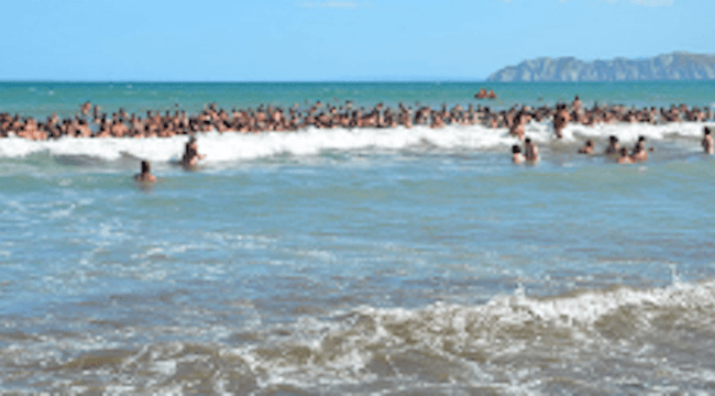 45c1965a8bd2baac0fbb6b7044210039