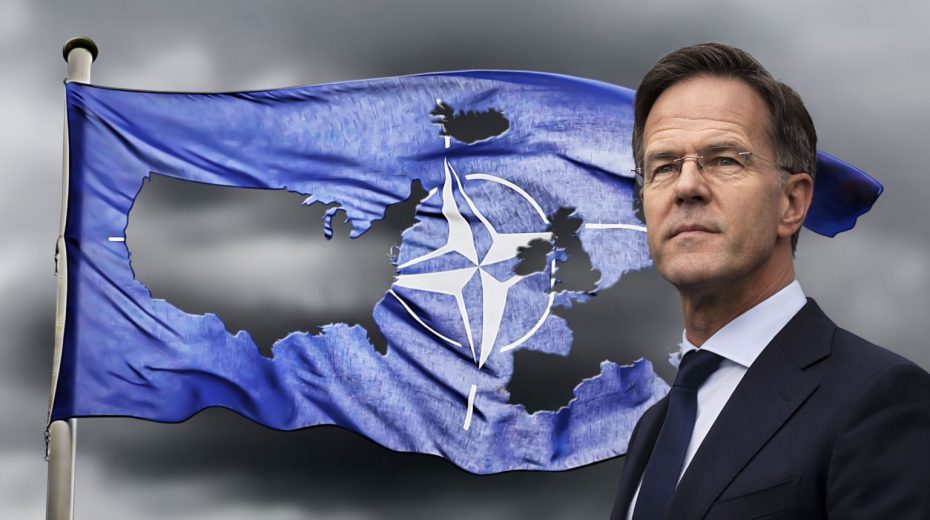 c48592f9f5547ba8d9a40572cbe74bcf