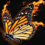 f734f256f58ced82ad6f3eb2f9d83f45