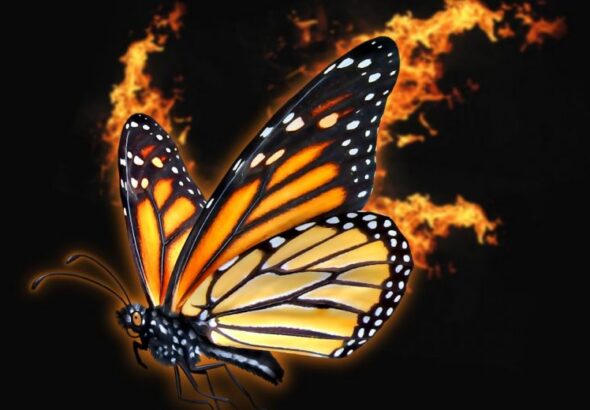 f734f256f58ced82ad6f3eb2f9d83f45