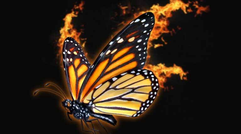 f734f256f58ced82ad6f3eb2f9d83f45