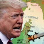 53a58185c5b8309fa8828be1096e5502