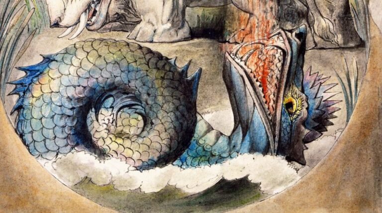 5c21a0bc1d67e8d1564b9d2383e547e5