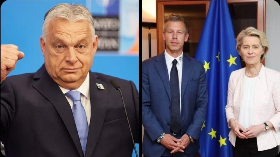 98a4cc80c74aa88fe9d113991d7d69d3