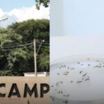 d9d0abd218b5a1763c9699d6891c2e71