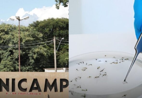 d9d0abd218b5a1763c9699d6891c2e71