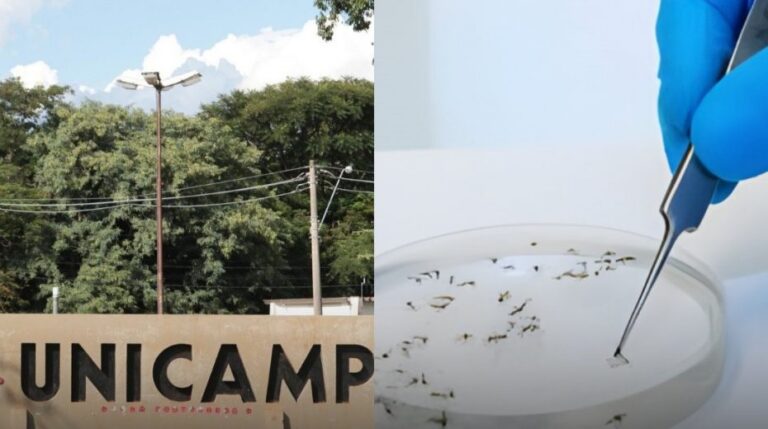 d9d0abd218b5a1763c9699d6891c2e71